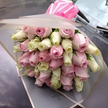 PINK AND WHITE ROSES