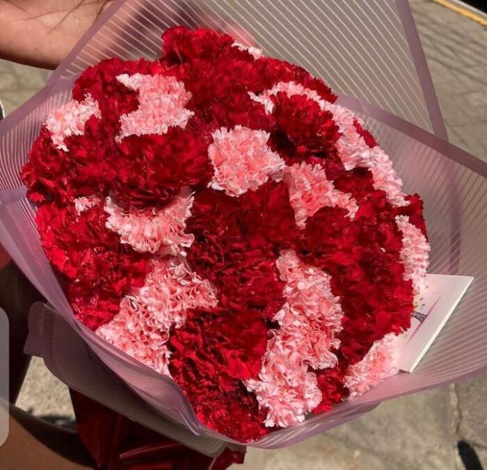 TRULY MAGIC CARNATIONS