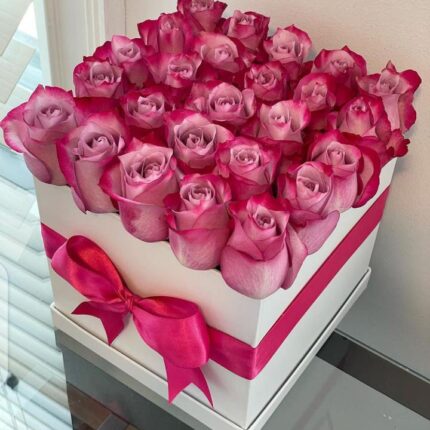 PURPLE ROSES