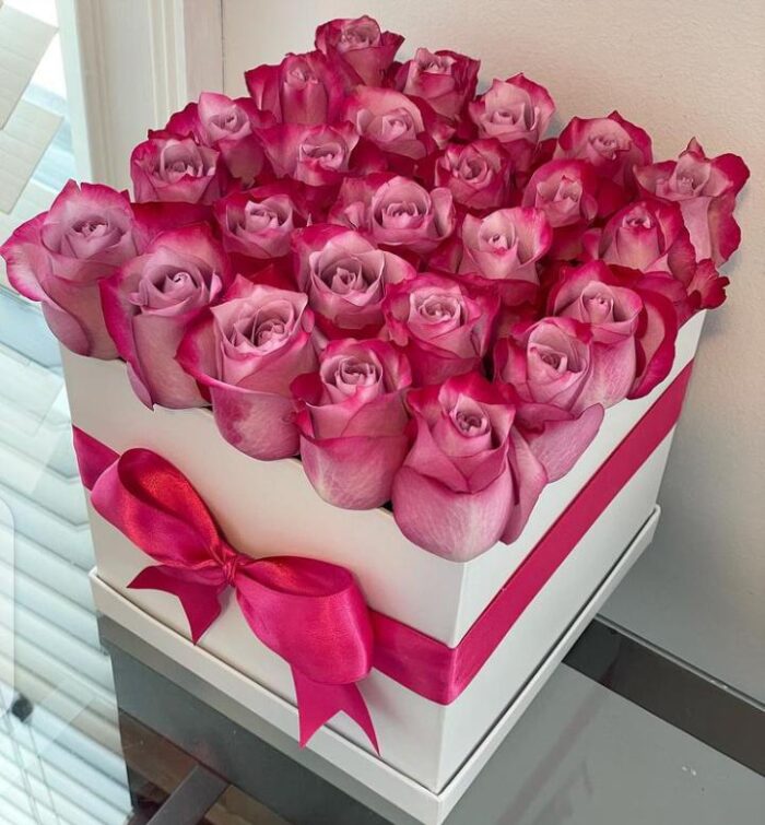 PURPLE ROSES