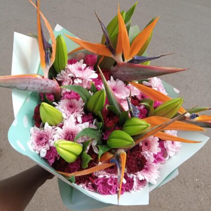 CHEERFUL BLOSSOM