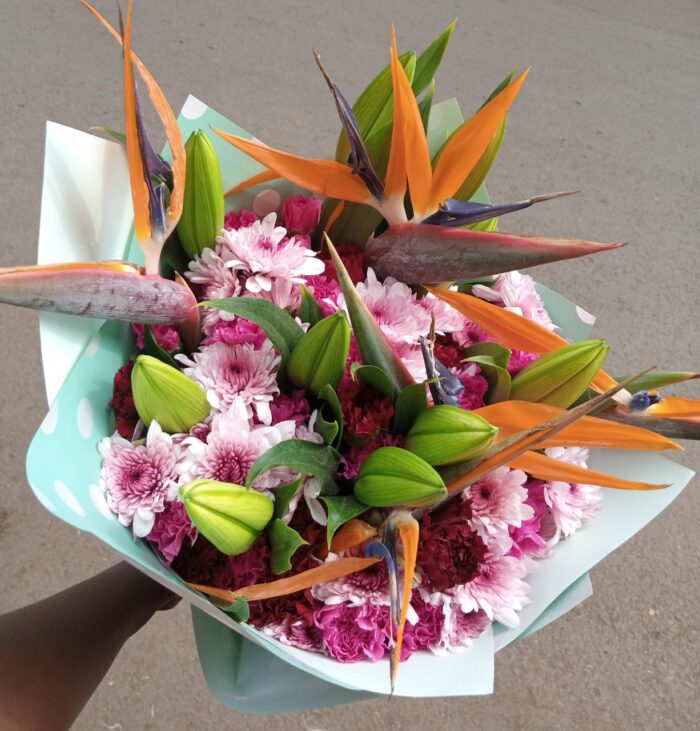 CHEERFUL BLOSSOM