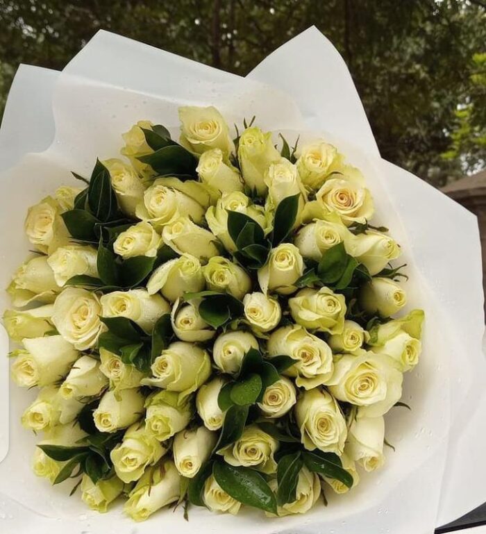 80 WHITE ROSES