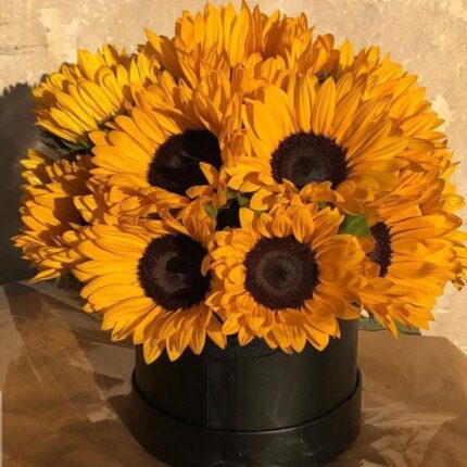 SUNFLOWER BOX