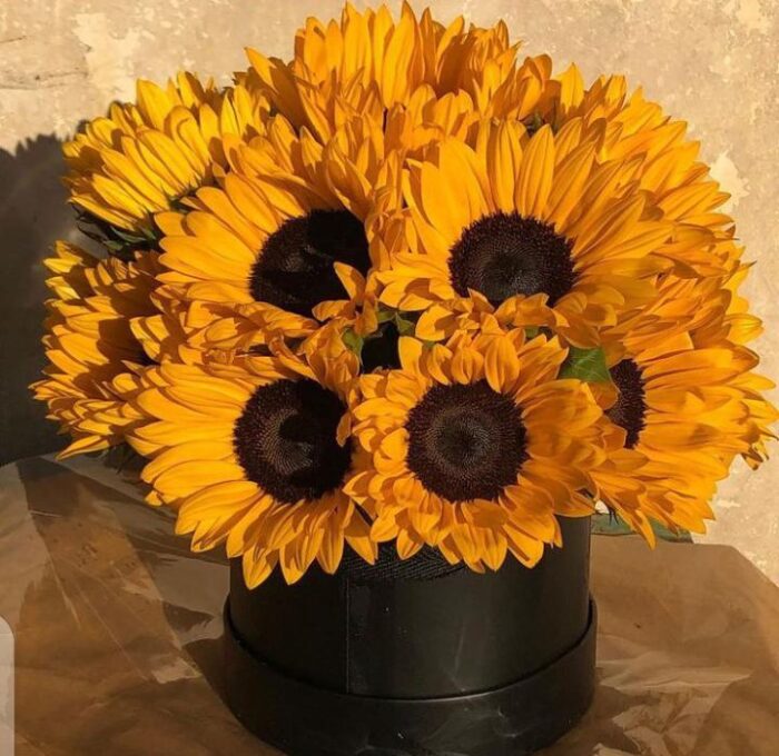SUNFLOWER BOX