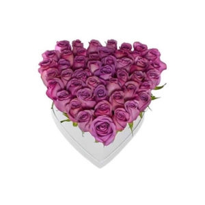 PURPLE HEARTS BOX