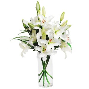 WHITE LILIES VASE
