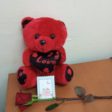 RED TEDDY & ROSE