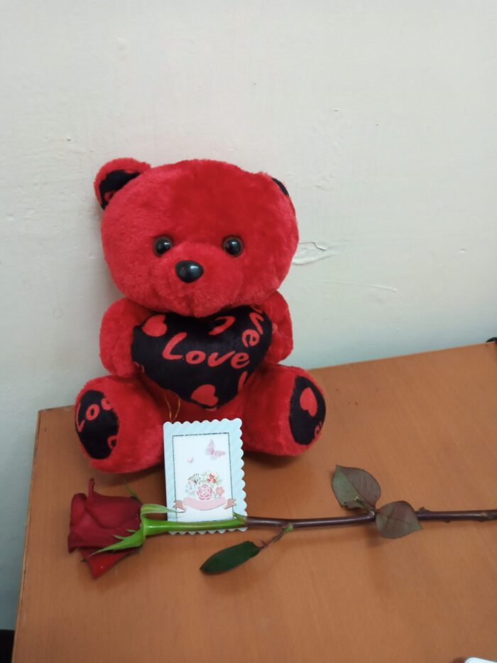 RED TEDDY & ROSE