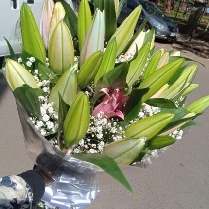 LILIES & BABY BREATHE