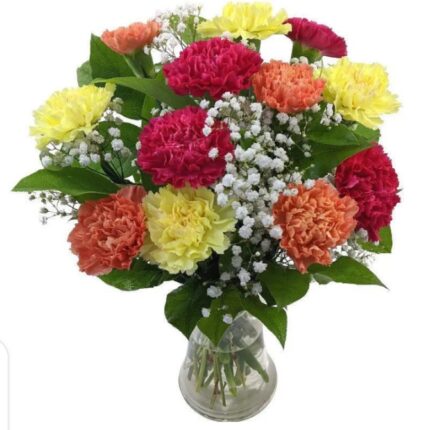 MIXED CARNATIONS VASE