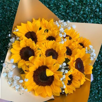 FLOWERS OF HOPE