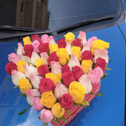 HEART BLOOMS
