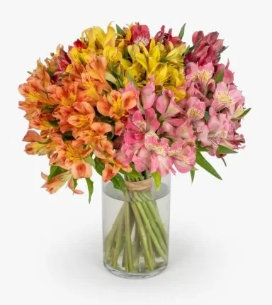 THE ALSTROMERIA VASE