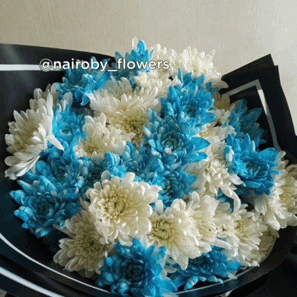 BLUE AND WHITE CHRYSANTHEMUMS