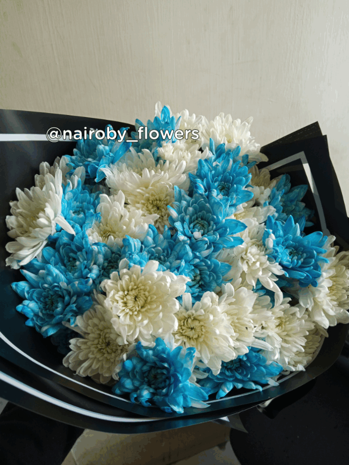 BLUE AND WHITE CHRYSANTHEMUMS