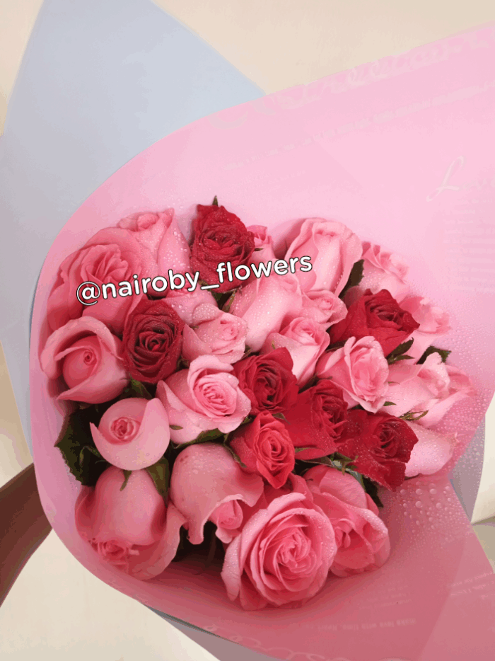 20 PINK & A RED TOUCH