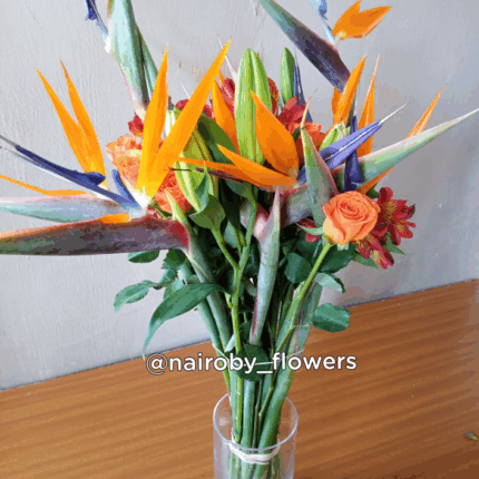 BIRDS OF PARADISE VASE COMBO