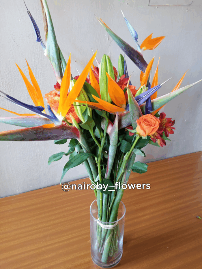 BIRDS OF PARADISE VASE COMBO