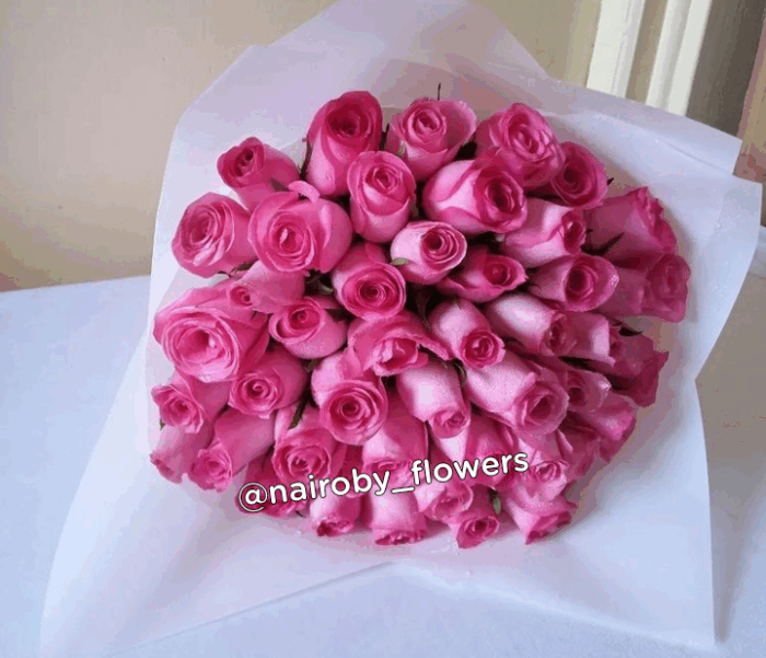 PINKISH FEELS