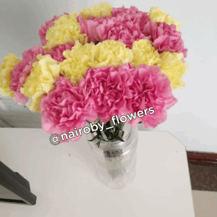 CARNATIONS VASE