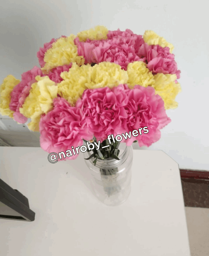 CARNATIONS VASE