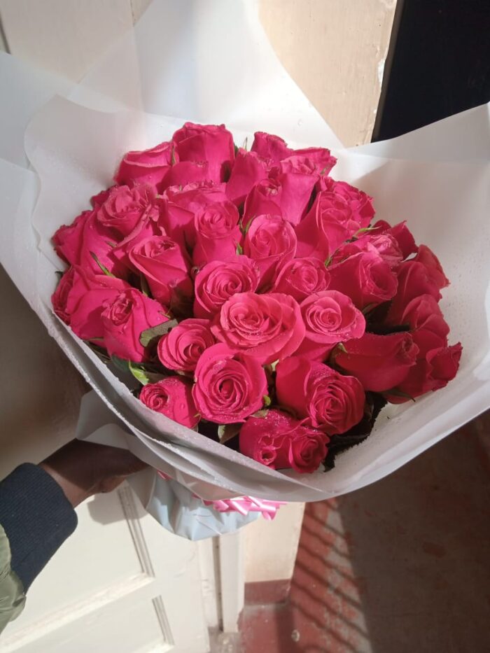 40 PINK HOT ROSES