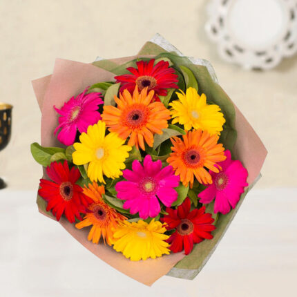 MULTICOLORED GERBERAS