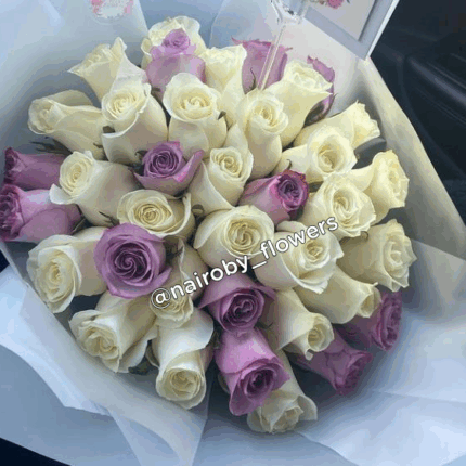 WHITE AND PURPLE ROSES