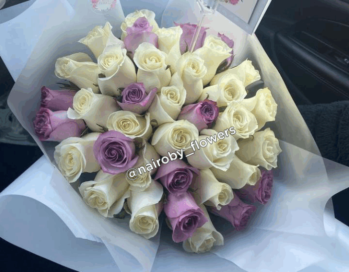 WHITE AND PURPLE ROSES