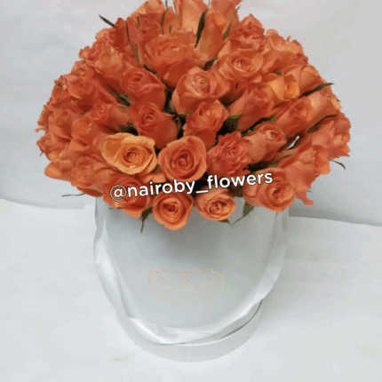 THE ORANGE MELLOW BOX