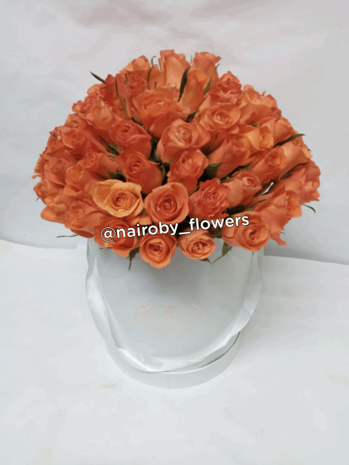 THE ORANGE MELLOW BOX