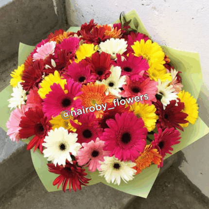 GERBERAS ONLY BOUQUET