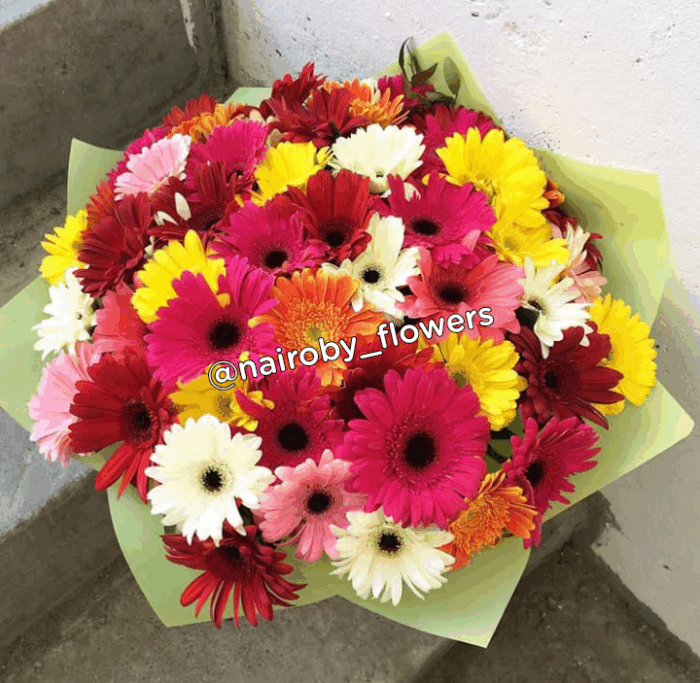 GERBERAS ONLY BOUQUET