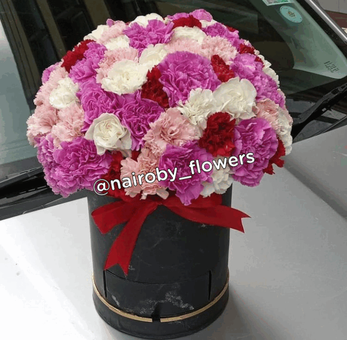 CARNATIONS BEAUTIFUL BOX