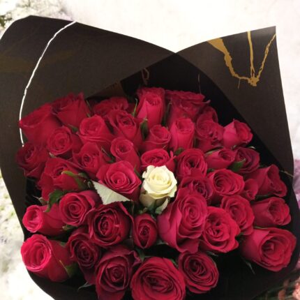 LOVER'S DELIGHT