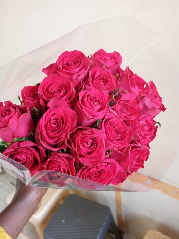 20 HOT PINK ROSES