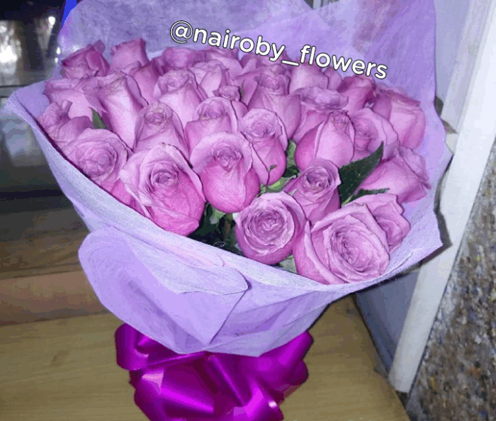 40 PURPLE ROSES