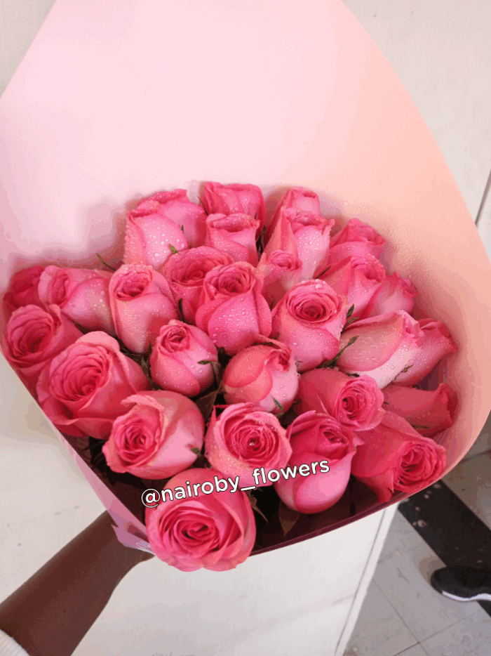 20 BABY PINK ROSES