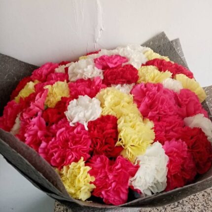 COLORFUL CARNATIONS