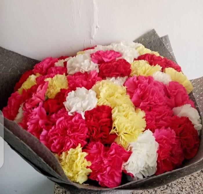 COLORFUL CARNATIONS