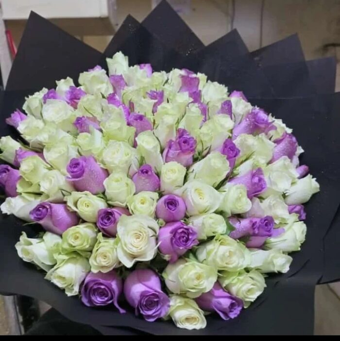 100 PURPLE & WHITE ROSES