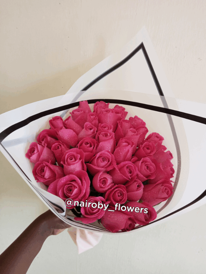 HOT PINK ROSES BEAUTY