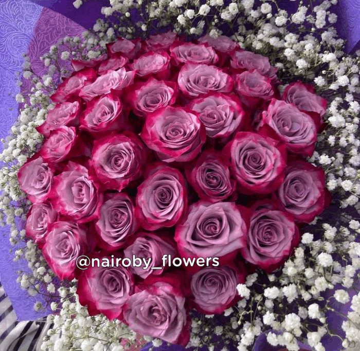 PURPLE ROSES LOVE BOUQUET