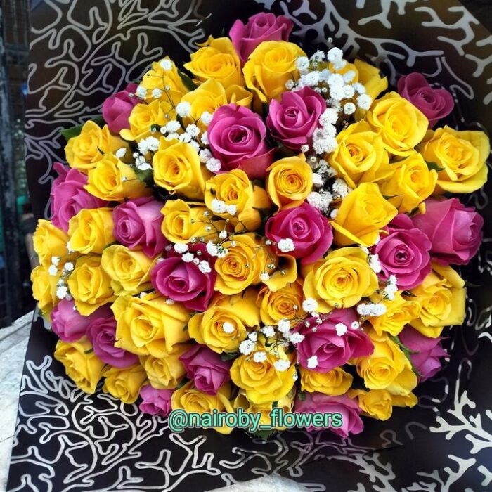 SMELL OF FRESHNESS