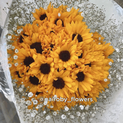 SUNFLOWER GOODNESS
