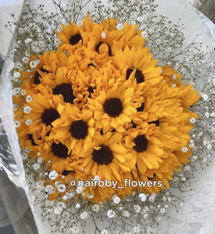 SUNFLOWER GOODNESS