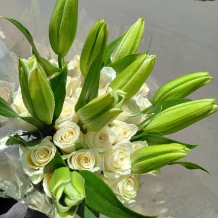 CLASSY LILIES
