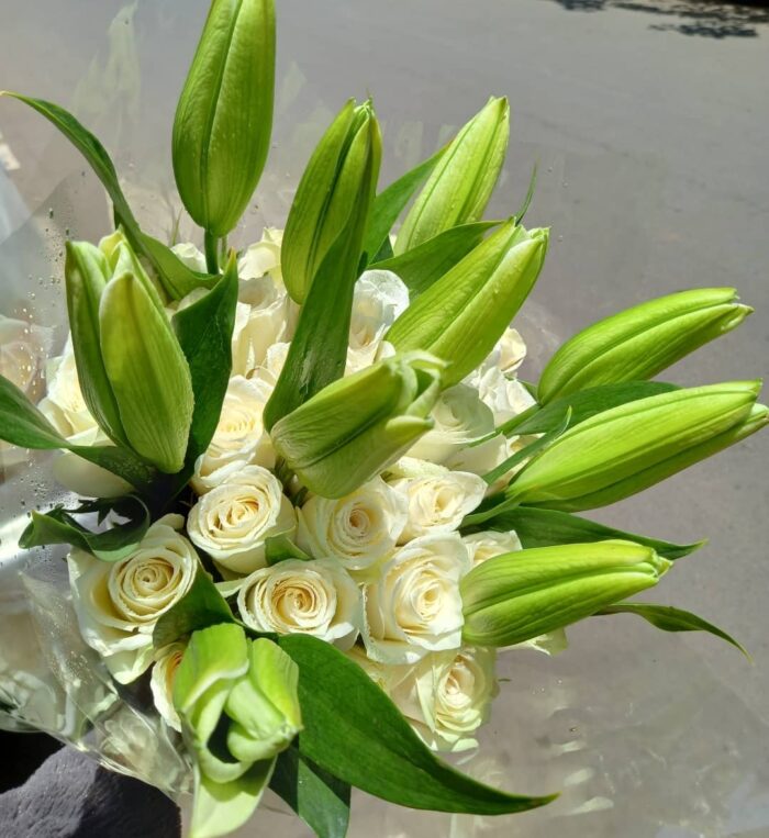 CLASSY LILIES