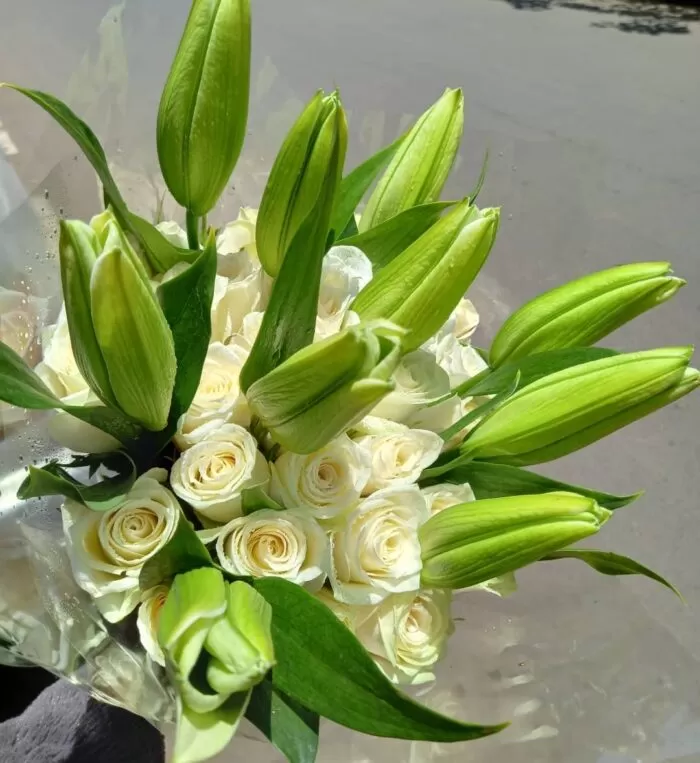 CLASSY LILIES